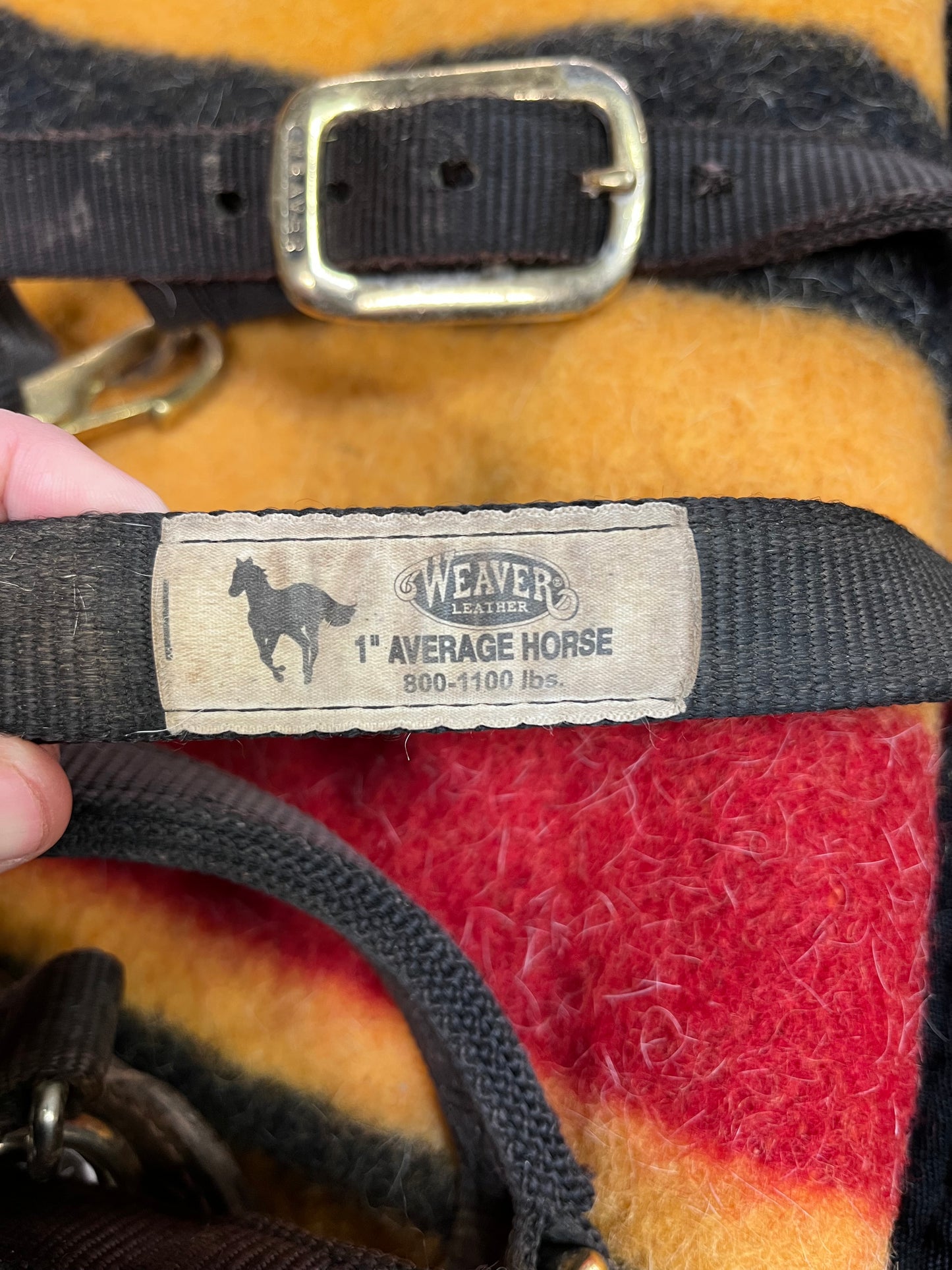 Red Leather Floral Bronc Halter